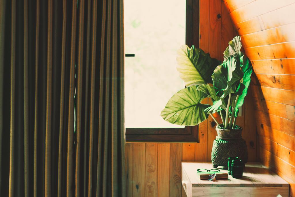 Chay Lap Farmstay Bo Trach Экстерьер фото