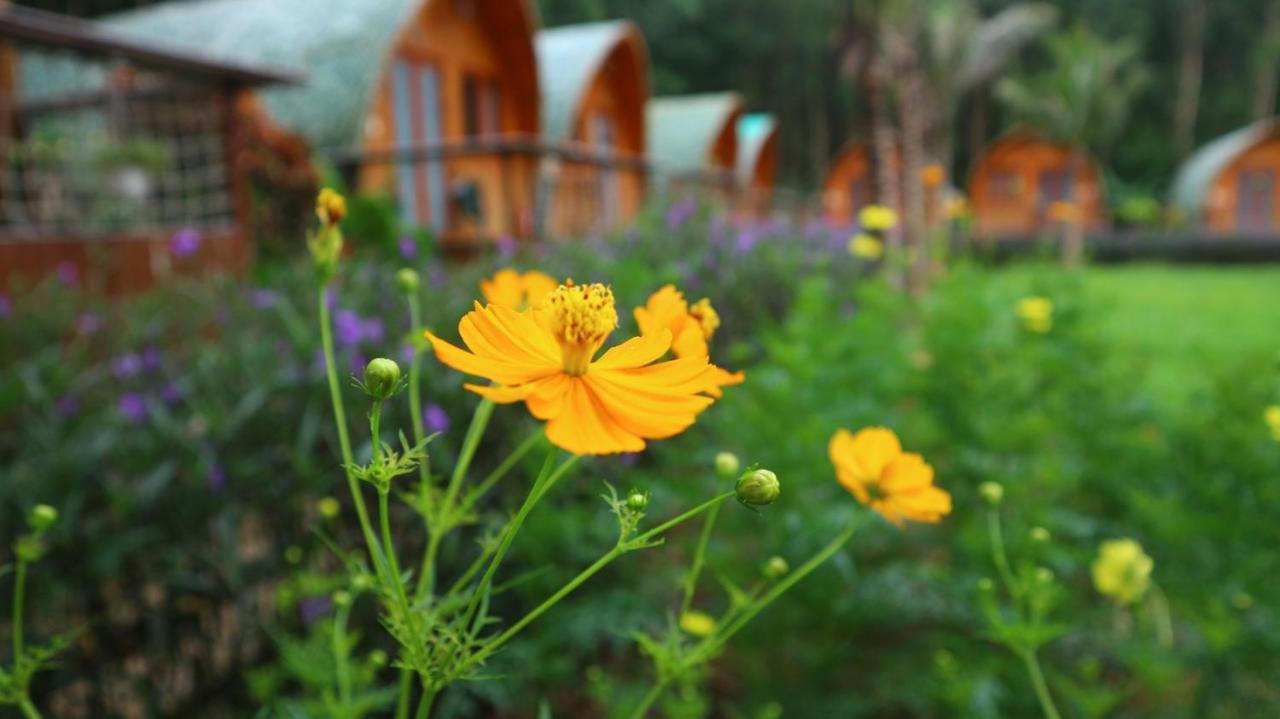 Chay Lap Farmstay Bo Trach Экстерьер фото